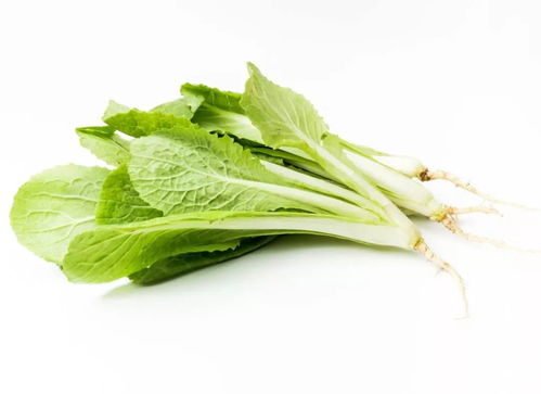 應(yīng)季養(yǎng)生｜冬季餐桌必備 這幾種時(shí)令蔬菜不僅營養(yǎng)豐富，還能增強(qiáng)抵抗力