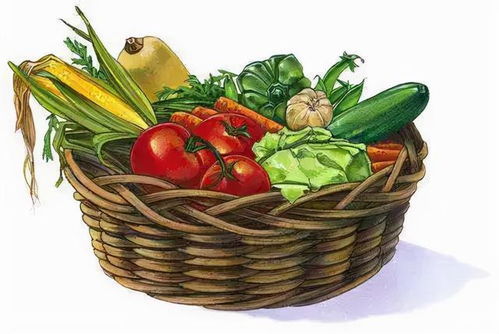 節前走訪菜市場 貨源充足價格穩，新春苗木添綠意