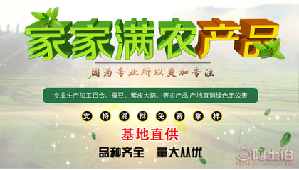 甘肅優(yōu)質(zhì)紫皮獨頭蒜 天然綠色的健康蔬菜之選