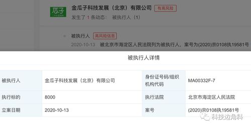 瓜子二手車成被執(zhí)行人，8000元執(zhí)行標(biāo)的牽出技術(shù)開發(fā)糾紛